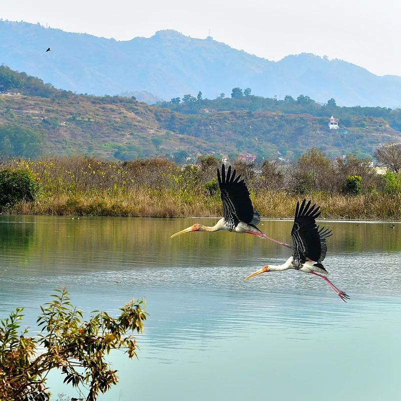State government has declared Kali Bein a conservation reserve