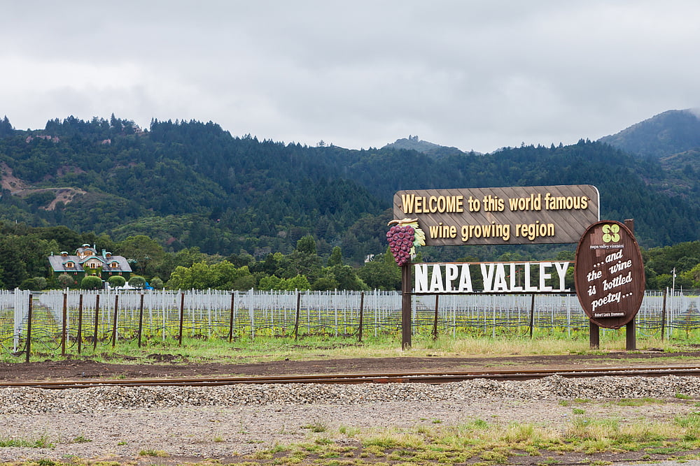 Take a tour of the Napa Valley for its wines