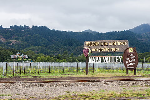 Take a tour of the Napa Valley for it's wines