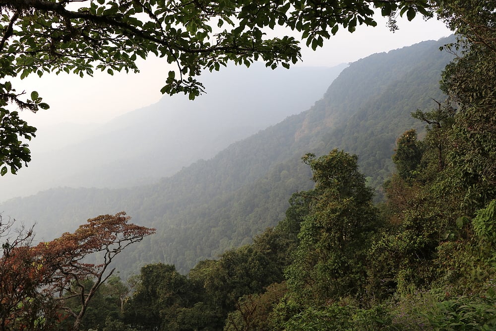 The hills of Agumbe