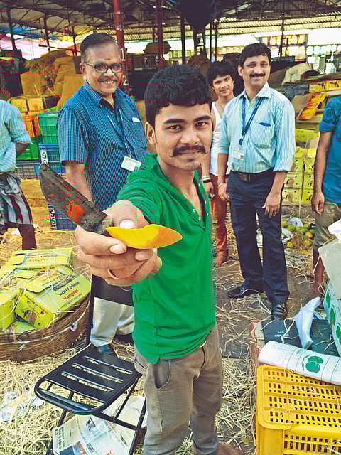 Of the more than 1,000 varieties that hit the markets, the much-coveted Alphonso is king