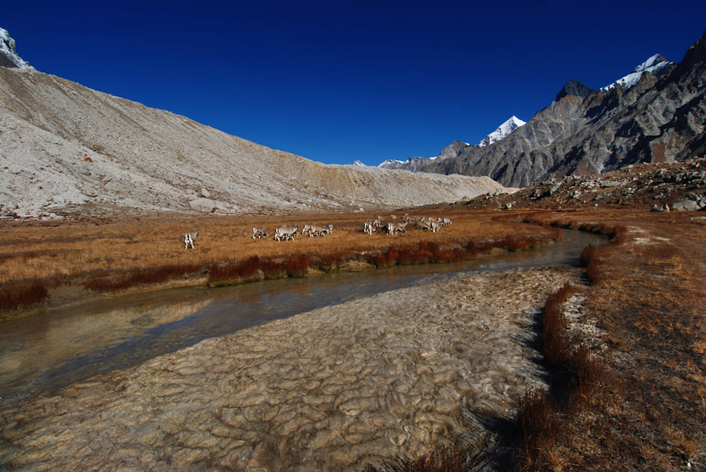 Tapovan hot spring is located in a small village close to the Gangotri glacier, where Ganga originates
