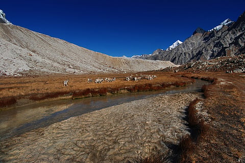 Tapovan hot spring is located in a small village close to the Gangotri glacier, where Ganga originates