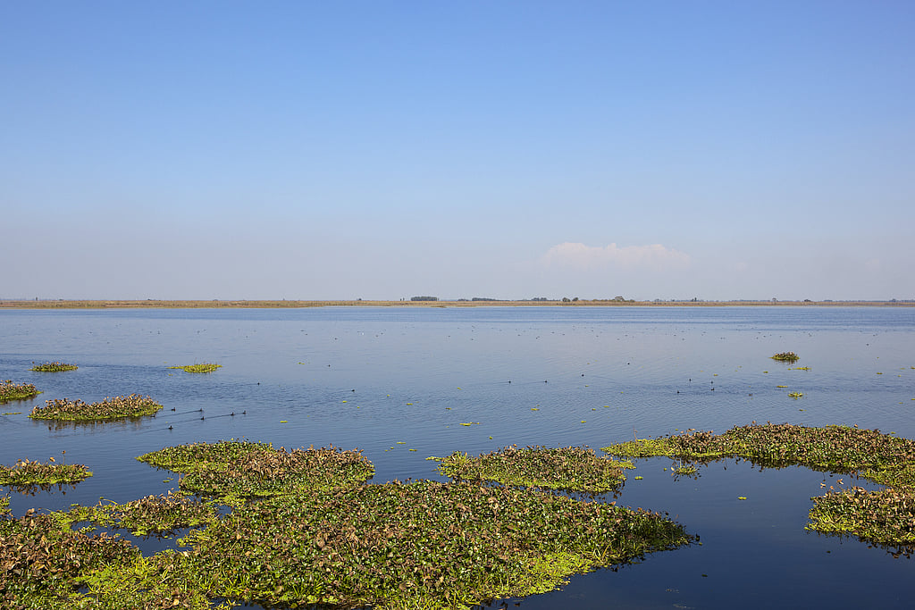 Also known as Hari-ke-Pattan, with the Harike Lake in the deeper part of it, is the largest wetland in northern India in the border of Tarn Taran Sahib district and Ferozepur district of Punjab in India