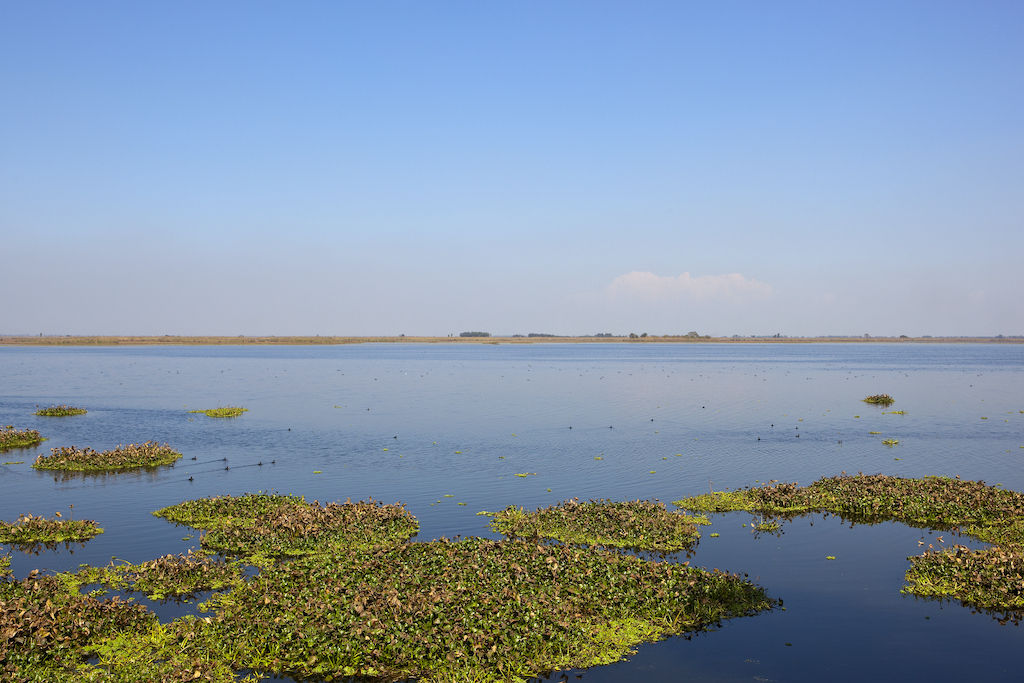 Also known as Hari-ke-Pattan, with the Harike Lake in the deeper part of it, is the largest wetland in northern India in the border of Tarn Taran Sahib district and Ferozepur district of Punjab in India