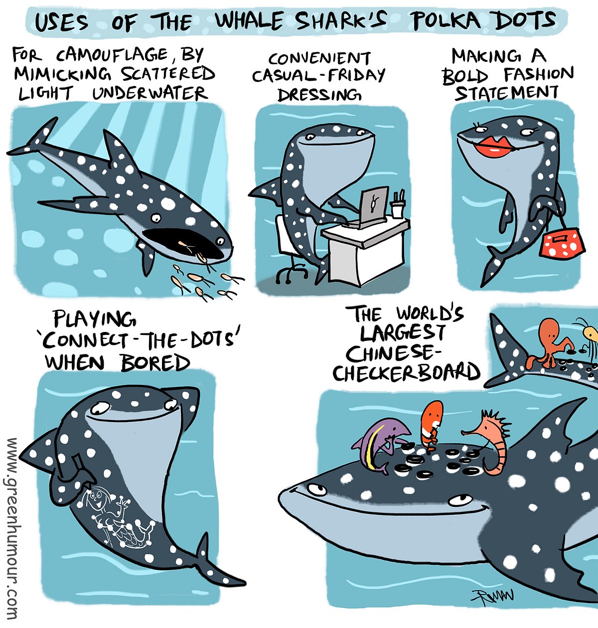 A comic on the patterns of the whale shark