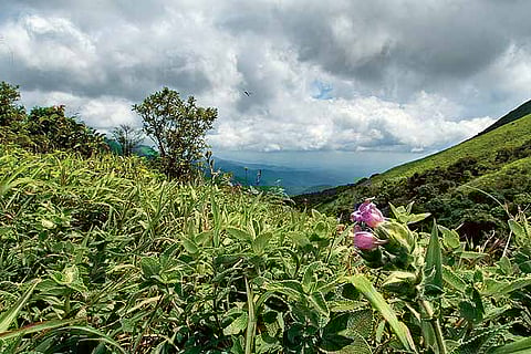 The vistas along the trek route