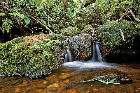 Picture-postcard streams 