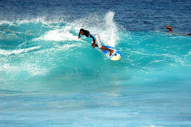 Surf the waves with licenses trainers