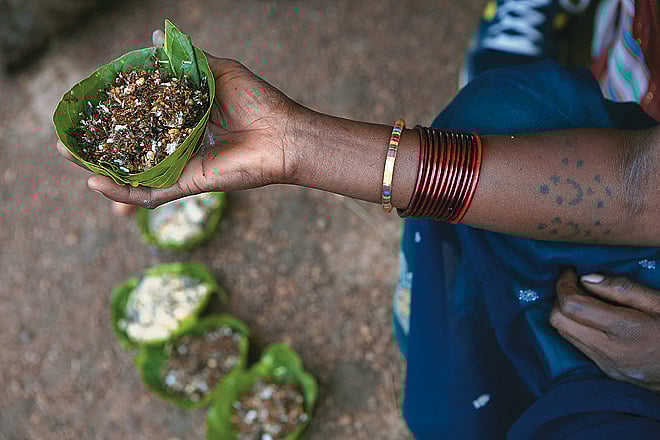 Red Ant Chutney or Chhapra is a delicacy in Bastar