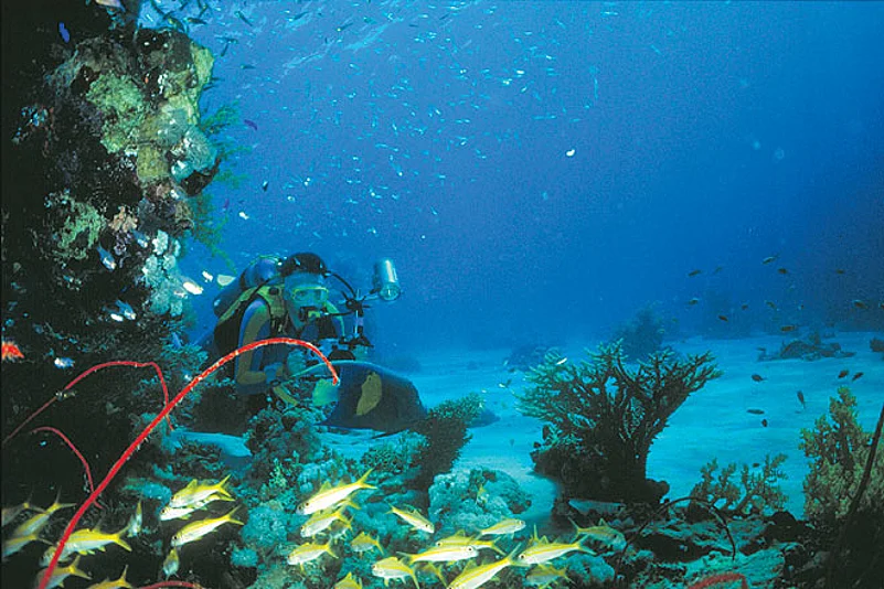 Diving and snorkelling are the highlights of any trip to a resort on the Red Sea