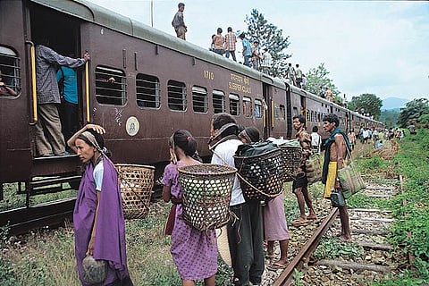 Cane is used widely, not just in baskets but entire villages roofed, walled, and fenced with it