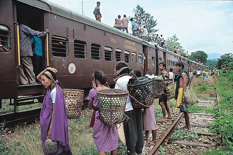 Cane is used widely, not just in baskets but entire villages roofed, walled, and fenced with it