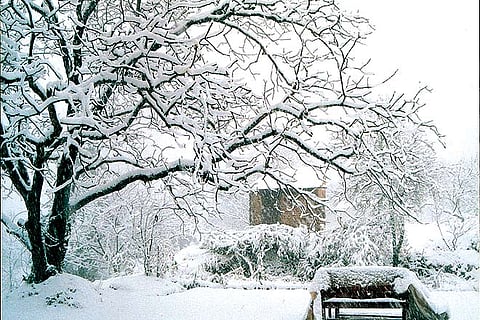 Winter transforms Abbott Mount into a snow world