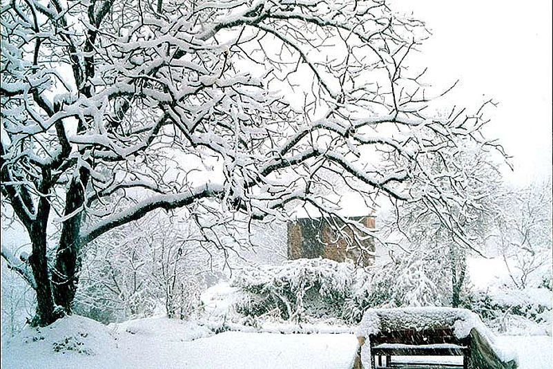 Winter transforms Abbott Mount into a snow world