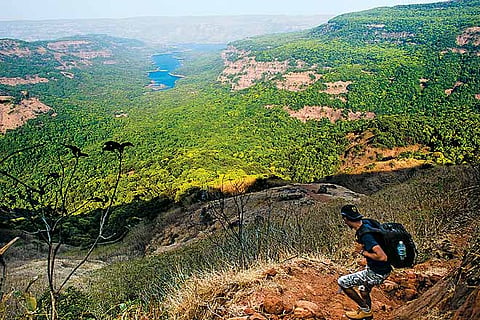 Vasota fort offers panoramic views of Chiplun one one side and Koyna sanctuary's forests on the other
