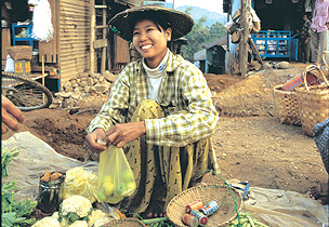 A woman selling fruits at the market