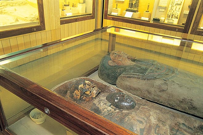 Mummies displayed at the Egyptian Gallery of  Indian Museum