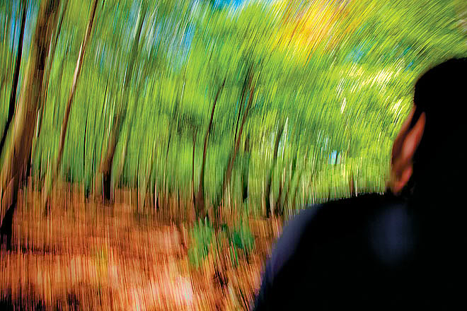 The effects of Ayahuasca are hallucinogenic