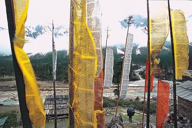 Prayer flags in a village