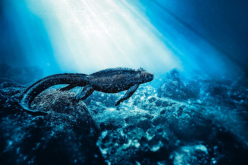 Go nature exploring in Galapagos