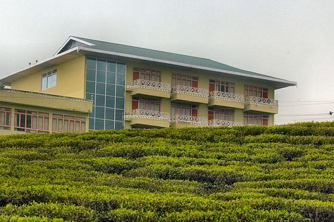 Cherry Resort in Tarku