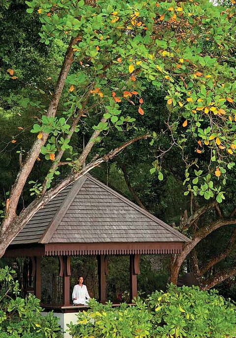 An Asian wellness resort to cocoon guests in private luxury