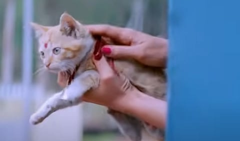 'സമ്മര്‍ ഇന്‍ ബത്‌ലേഹമി'ലെ അവസാനസീനിൽ നിന്ന്