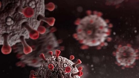 COVID-19: দৈনিক সংক্রমণ কমলেও বাড়লো মৃত্যু সংখ্যা, একদিনে সুস্থ প্রায় ৩.০৮ লাখ