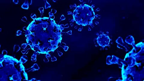 Covid-19: শেষ ২৪ ঘণ্টায় রেকর্ড সংক্রমণ, মৃত্যুর পাশাপাশি সুস্থতাতেও রেকর্ড