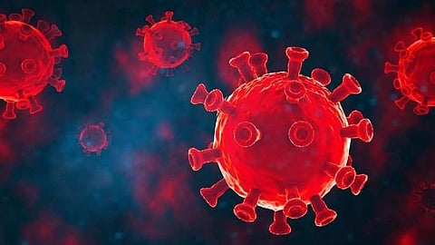 COVID-19: টেস্টের সংখ্যা বাড়তেই বাড়লো দৈনিক সংক্রমণ, রাজ্যে মোট মৃত্যু ১৪ হাজার ছাড়ালো