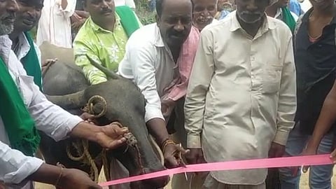 কর্ণাটকে যাত্রীনিবাস উদ্বোধনে মোষ