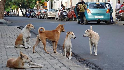 প্রতীকী ছবি