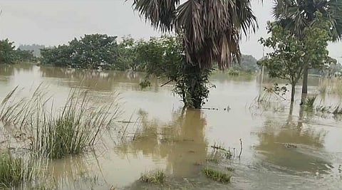 মালদায় বন্যা