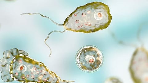 প্রতীকী ছবি 