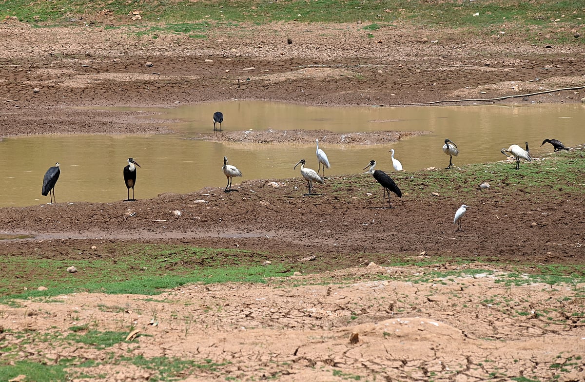 ಕ್ಷೇತ್ರ ಸಂಚಾರ | ಮಂಗಳೂರು: ಅಭಿವೃದ್ಧಿ ಆಗಿದೆ, ಒಪ್ಪುವುದು ಹೇಗೆ?