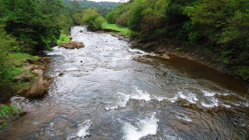 ದಟ್ಟಾರಣ್ಯದ ಅಪ್ಪಟ ಸುಂದರಿ ‘ಮಹದಾಯಿ’