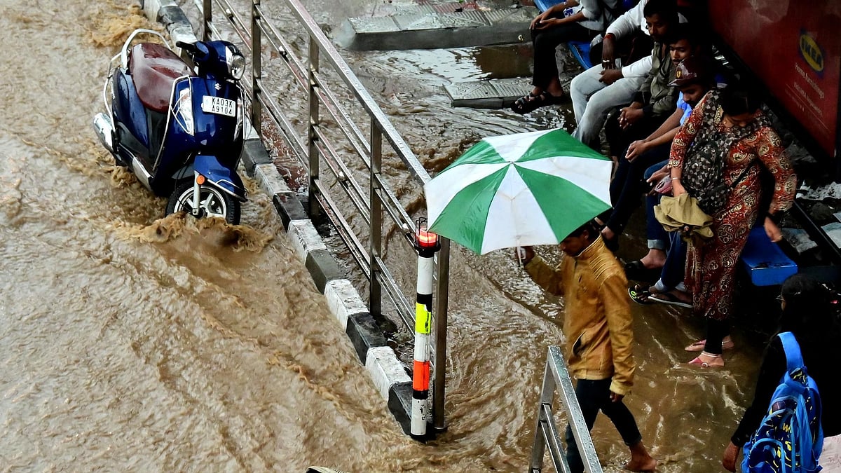 ರಾಜ್ಯಾದ್ಯಂತ ಧಾರಾಕಾರ ಮಳೆ; ಕೃಷಿ ಚಟುವಟಿಕೆ ಬಿರುಸು