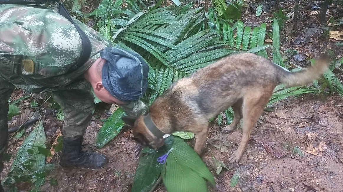 ವಿಮಾನ ಪತನವಾಗಿ 17 ದಿನಗಳ ಬಳಿಕ ಅಮೆಜಾನ್ ಕಾಡಿನಲ್ಲಿ 4 ಮಕ್ಕಳು ಪತ್ತೆ!