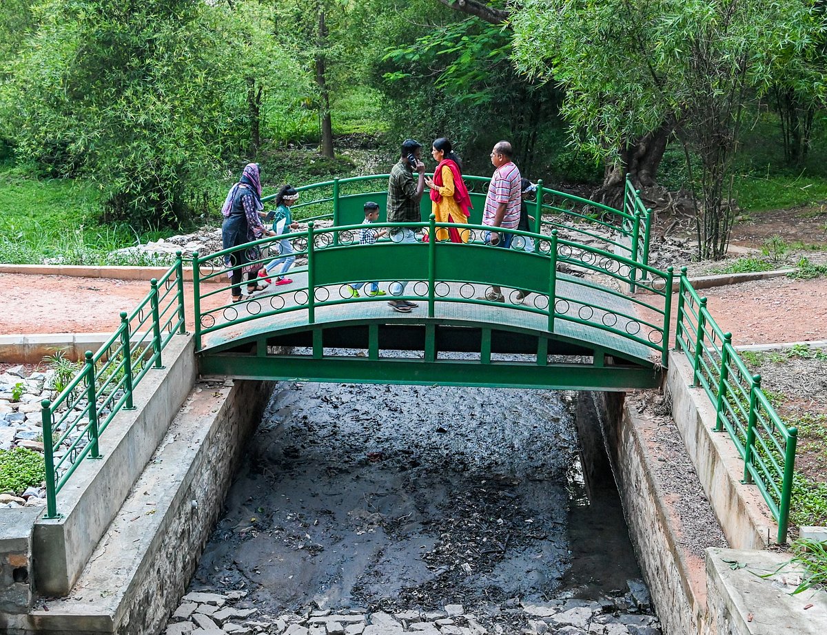 ಕಬ್ಬನ್‌ ಉದ್ಯಾನಕ್ಕೆ ಹರಿಯುತ್ತಿದೆ ಕೊಳಚೆ ನೀರು