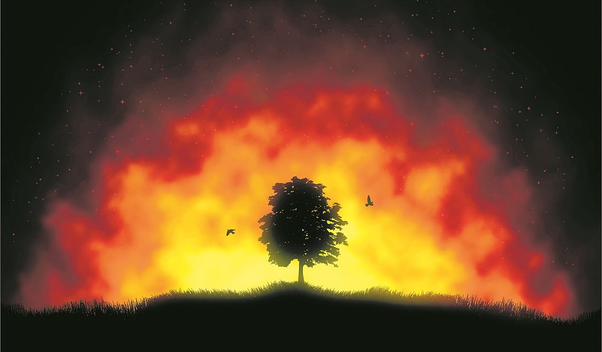 ಪೆರು ದೇಶದ ಚಿನ್ನದ ಗಣಿಯಲ್ಲಿ ಅಗ್ನಿ ದುರಂತ: 27 ಕಾರ್ಮಿಕರು ಸಾವು