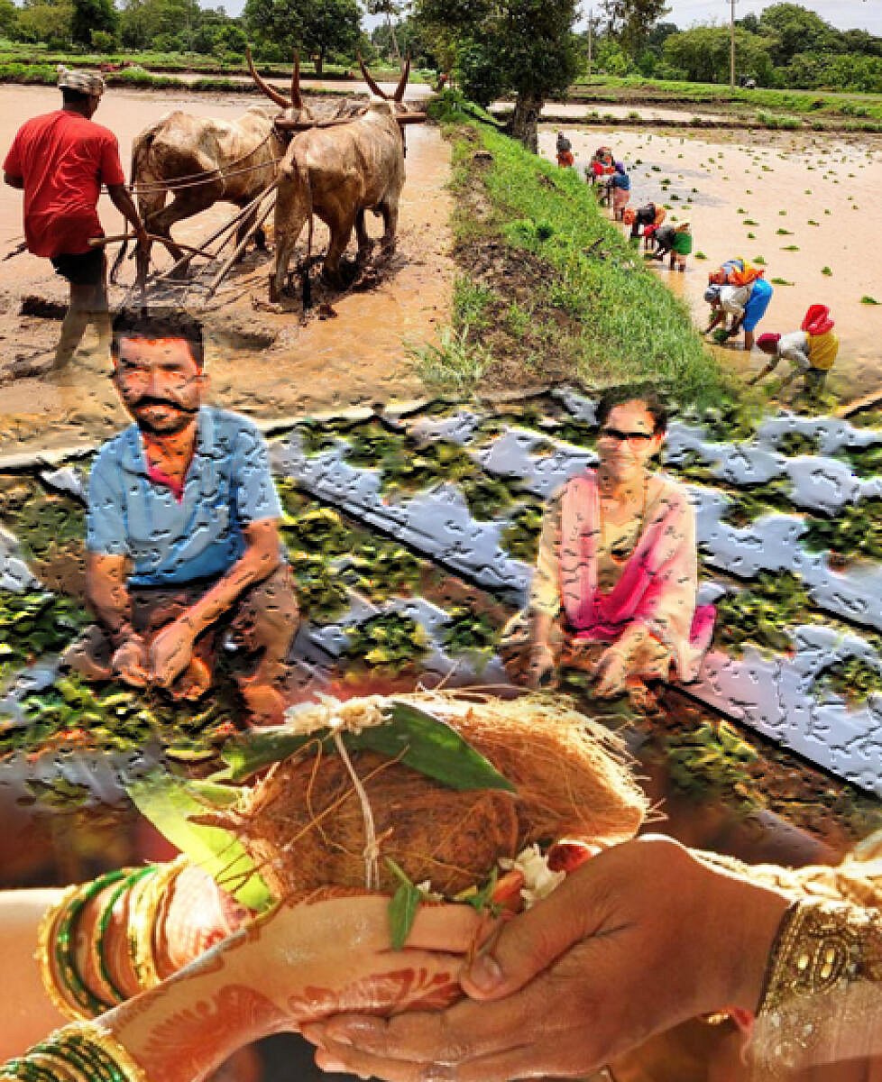 ವಿಶ್ಲೇಷಣೆ: ಕೃಷಿಕರಿಗೇಕೆ ಹೆಣ್ಣು ಸಿಗುತ್ತಿಲ್ಲ?