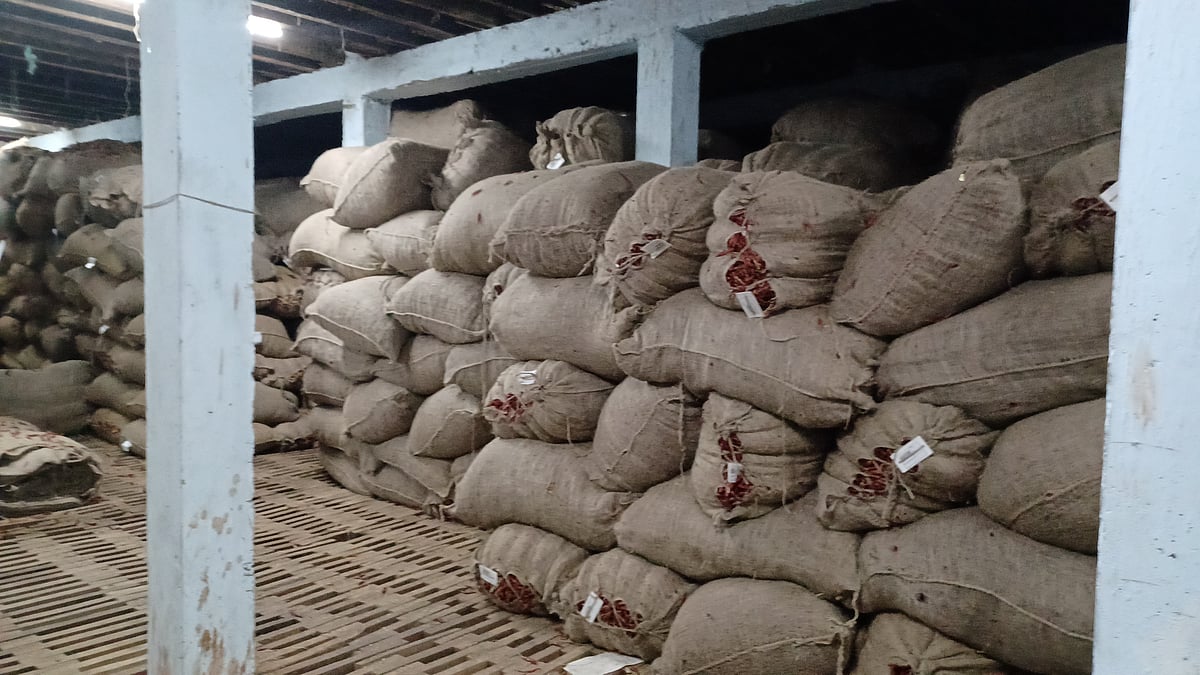 ಬಳ್ಳಾರಿ: ಮೆಣಸಿನಕಾಯಿಗೆ ಬೆಲೆ ಇದ್ದರೂ ಖರೀದಿದಾರರಿಲ್ಲ!