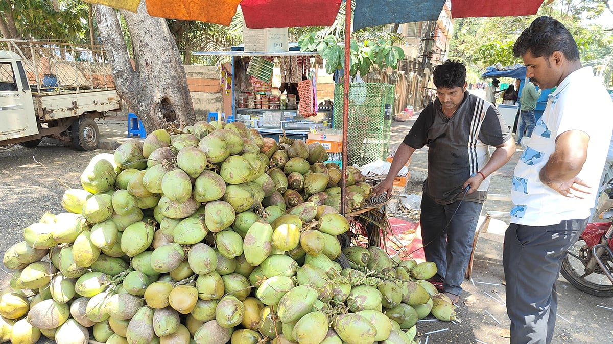 ಬಿಸಿಲಿಗೆ ಏರಿದ ಬೇಡಿಕೆ: ಗಗನಕ್ಕೆ ಏರಿದ ಎಳನೀರಿನ ದರ