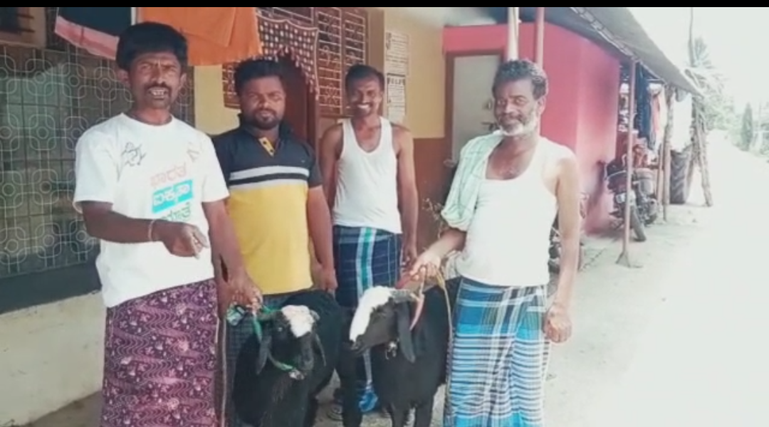 ಬೀರಪ್ಪಾರ ಸಿದ್ಧರೂಢ ಅವರು ಕಾಂಗ್ರೆಸ್‌ನ ಡಿ.ಜಿ. ಶಾಂತನಗೌಡ ಅವರು ಗೆಲ್ಲುವುದಾಗಿ ಬಹಿರಂಗವಾಗಿ ತಮ್ಮ ಎರಡು ಕುರಿಗಳನ್ನು ಬೆಟ್ಟಿಂಗ್ ಕಟ್ಟಿರುವುದು.