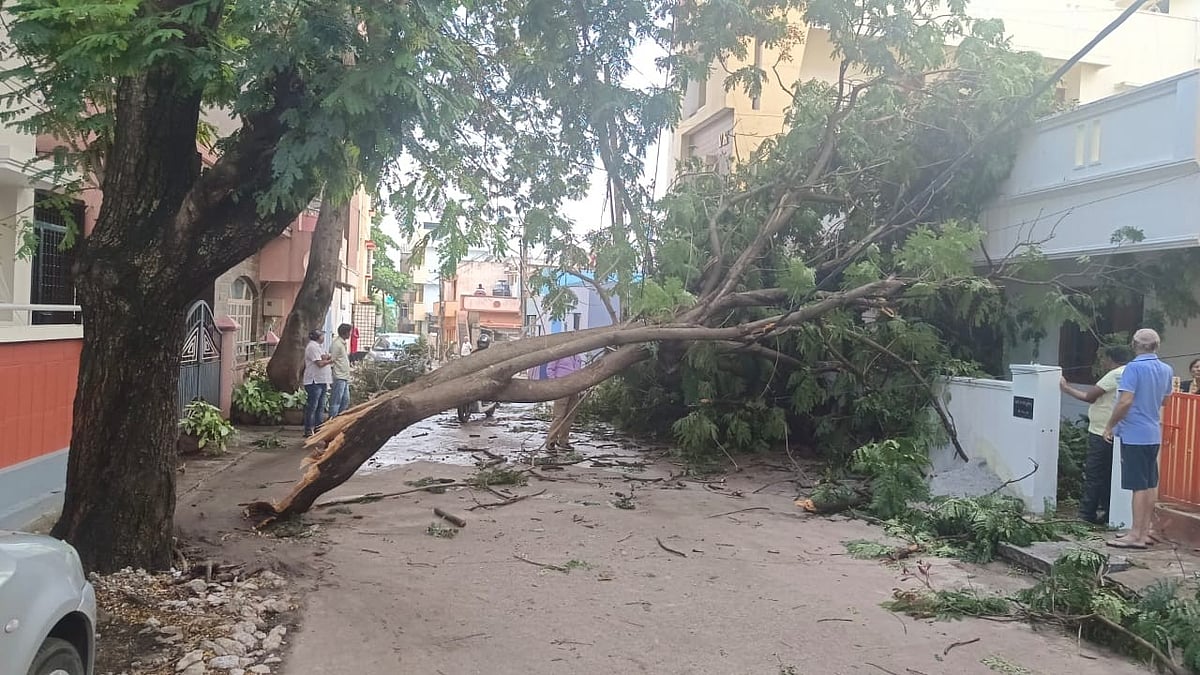 ರಾಜರಾಜೇಶ್ವರಿನಗರ: ಗಾಳಿ ಅಬ್ಬರಕ್ಕೆ ಉರುಳಿದ ಮರಗಳು 