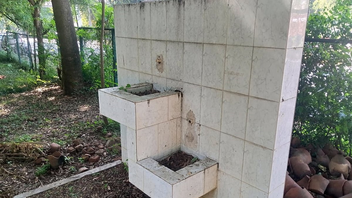 ಮೈಸೂರು | ಕುಕ್ಕರಹಳ್ಳಿ ಕೆರೆ: ನೀರು, ಬೆಂಚ್‌ಗೆ ಬೇಡಿಕೆ