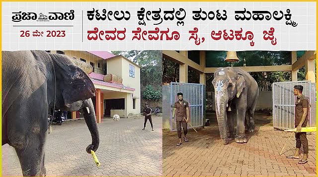 VIDEO | ಕಟೀಲು ಕ್ಷೇತ್ರದಲ್ಲಿ ತುಂಟ ಮಹಾಲಕ್ಷ್ಮಿ: ದೇವರ ಸೇವೆಗೂ ಸೈ, ಆಟಕ್ಕೂ ಜೈ