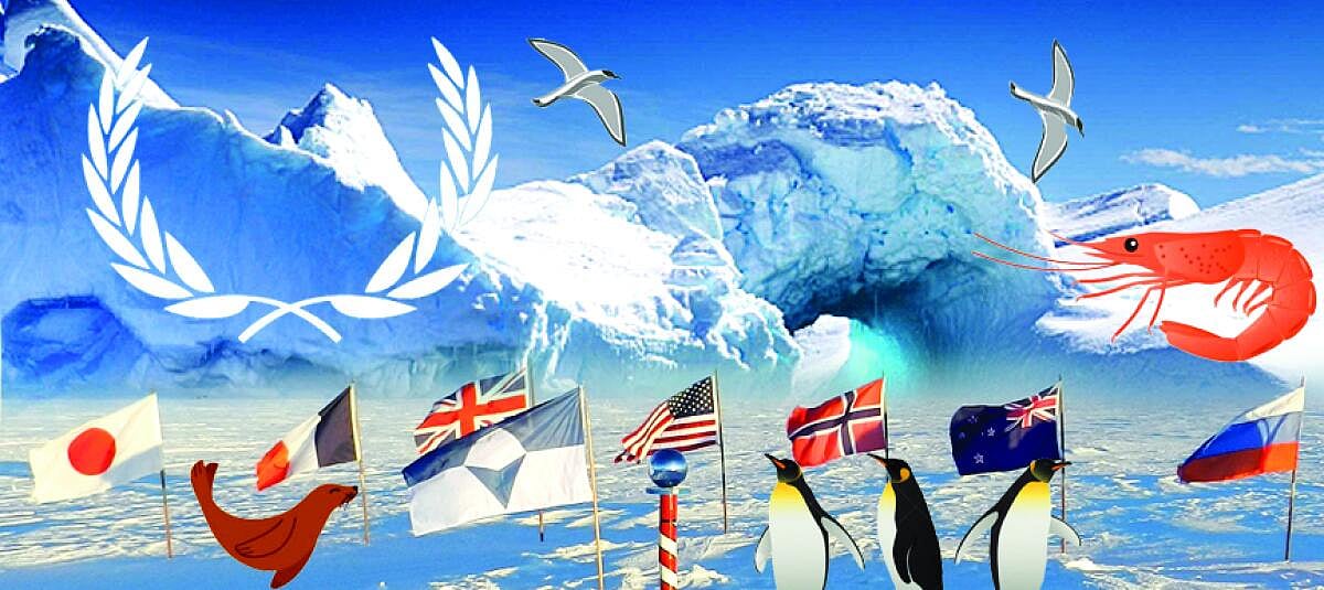 ವಿಶ್ಲೇಷಣೆ: ಅಂಟಾರ್ಕ್ಟಿಕದ ಜೀವಿ ಉದ್ಯಾನಗಳ ಭವಿಷ್ಯ