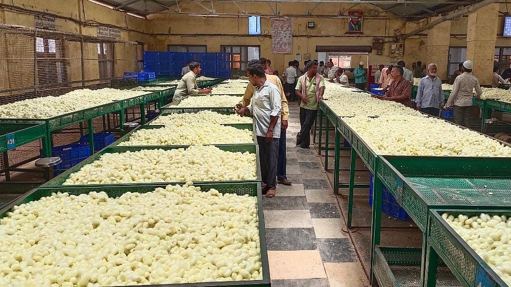 ಮತದಾನ ಹಿನ್ನೆಲೆ ನಾಳೆ ರೇಷ್ಮೆಗೂಡು ಮಾರುಕಟ್ಟೆ ವಹಿವಾಟು ಸ್ಥಗಿತ